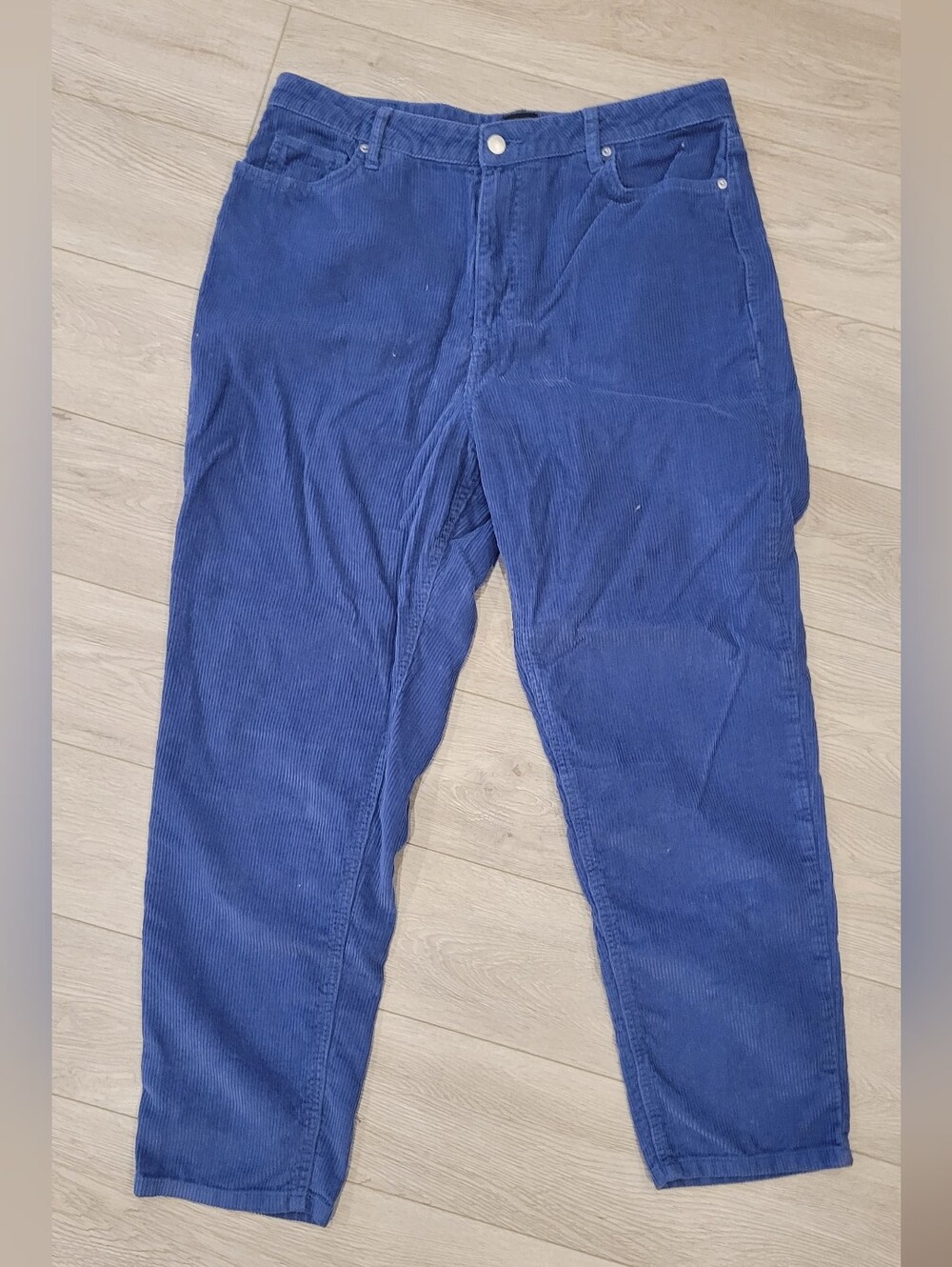 BDG Corduroy Pants in Deep Blue